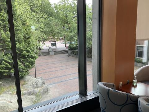 View through window on Skybridge, brick walkway and stairs into red square. Fountain on far right behind trees. Lots of foliage and greenery.