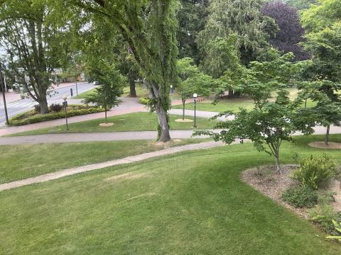 The view from 375 window. Lawn outside of Wilson entrance. Lots of trees on the right and in the background. High street in the distance left..