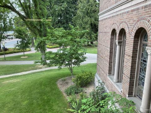 View from outside 376 window. On the right, part of Wilson Library's exterior with arched windows. Lawn, foliage, High St. in the distance.