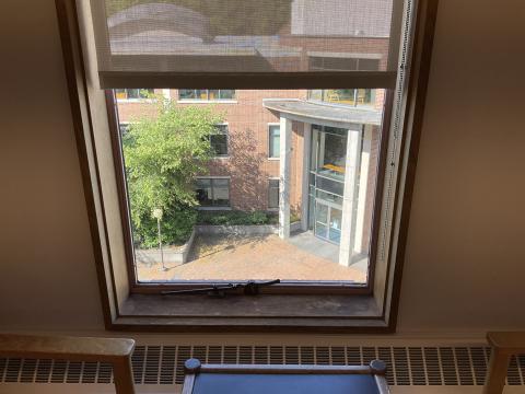A view from a window of Haggard Hall's main entrance, front wall of the brick building with windows. Tree on the back left. 